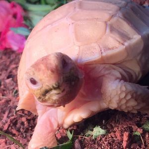 Meet your Posher, Kay